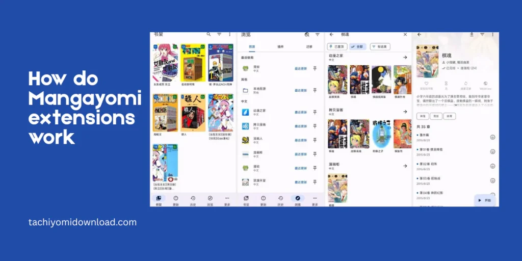How do Mangayomi extensions work